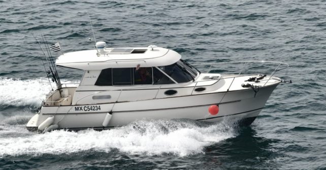 Encore une belle pêche en mer sur « la Marie Galante »